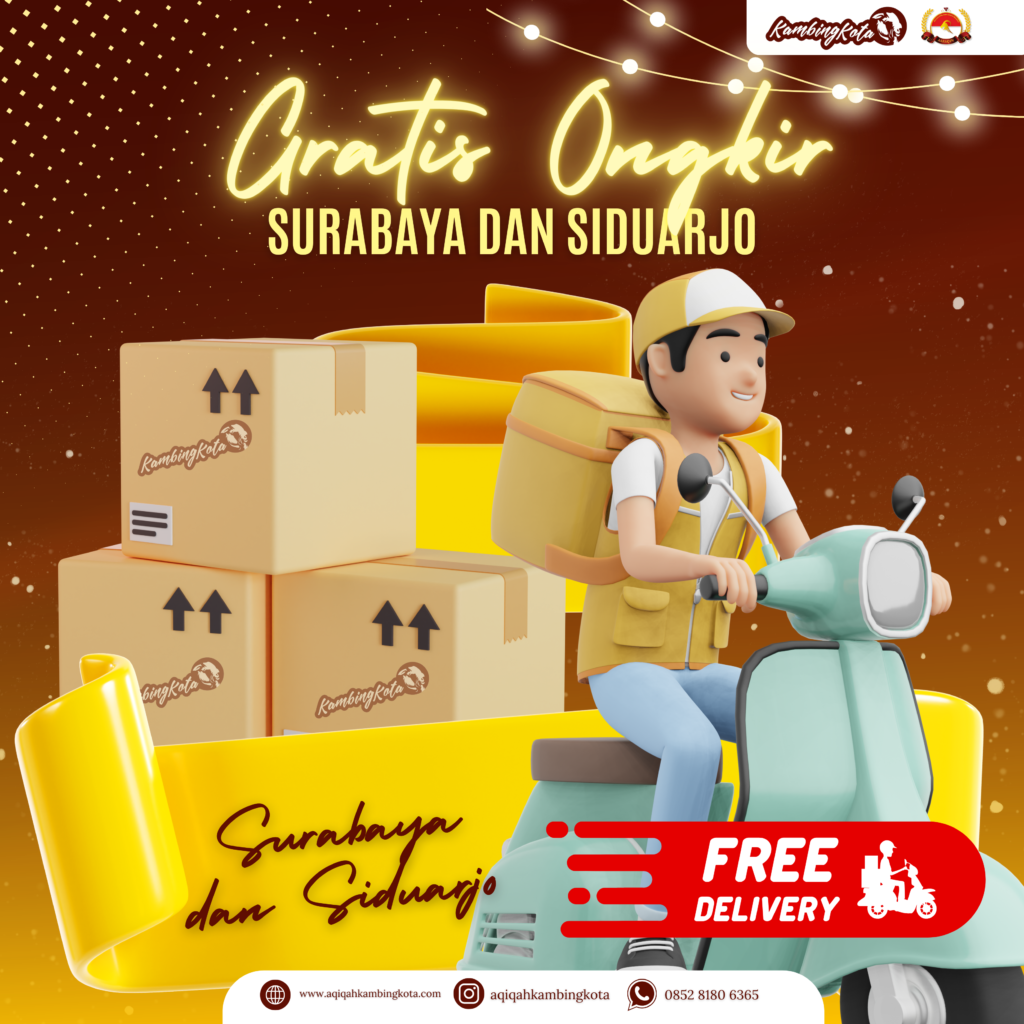 GRATIS ONGKIR