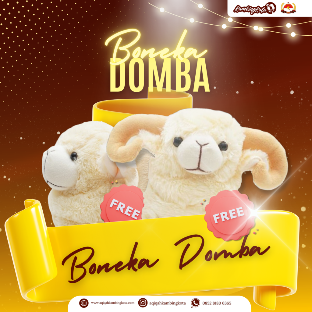 boneka aqiqah surabaya